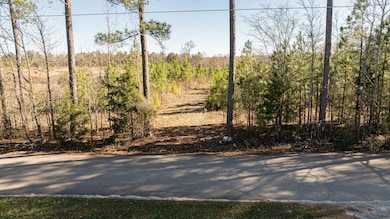 0 Lake Rd, Clinton, SC 29325 - photo 3