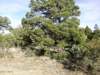 Van Leer Land 004.JPG