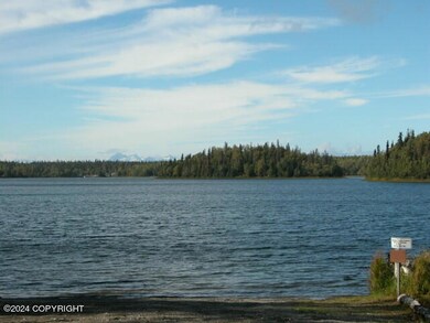 Island Lake Lot (7)