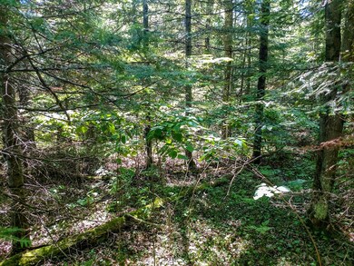 Lot 13 Sanctuary Rd, Tomahawk, WI 54487 - photo 4