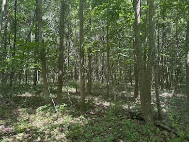 8270 W Chafin Chapel Rd, Ellettsville, IN 47429 - photo 6