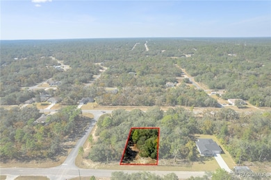 6320 N Matheson Dr, Pine Ridge, FL 34434 - photo 3