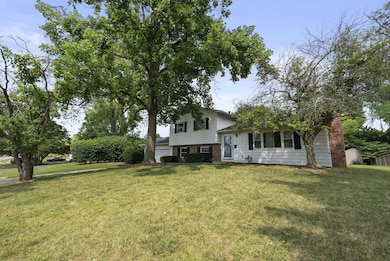 18-web-or-mls-DSC02799