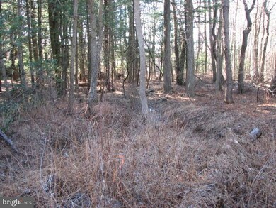 0 Three Turn Rd unit PACB122226, Shippensburg, PA 17257 - photo 4