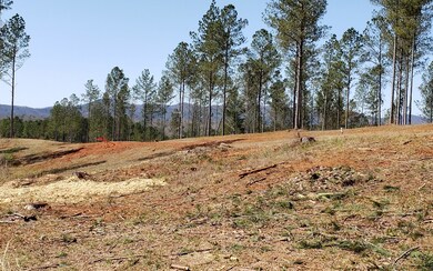 Additional View