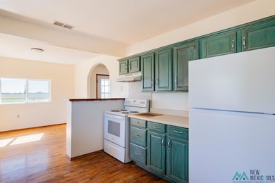 Kitchen with white appliances, green cabinetry, healthy amount of natural light, dark wood finished floors, and beam ceiling