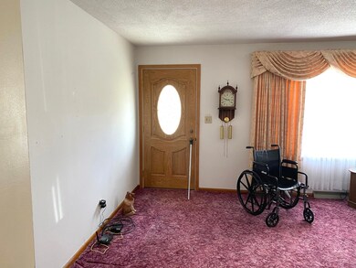 312 N Mercer St, Princeton, IL 61356 - photo 2