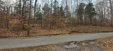 636 Tobaccoport Rd, Bumpus Mills, TN 37028 - photo 6