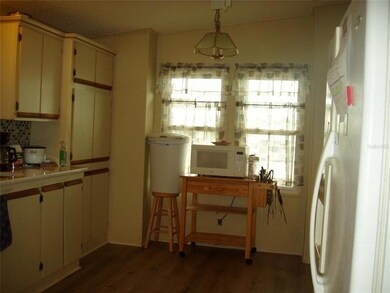 35130 Lindsey Ln, Zephyrhills, FL 33541 - photo 7