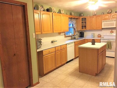 231 W Washington St, Virginia, IL 62691 - photo 7