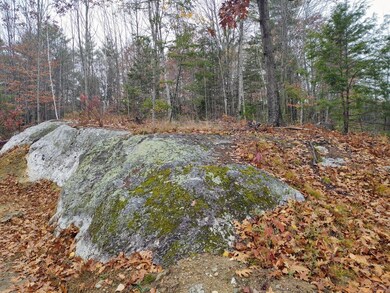 9 Harold Ln, Hebron, ME 04238 - photo 3