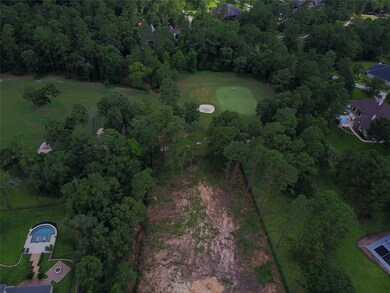 28332 Meadow Forest, Magnolia, TX 77355 - photo 5