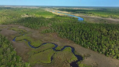 0 Georgetown Rd, Brunswick, GA 31523 - photo 5