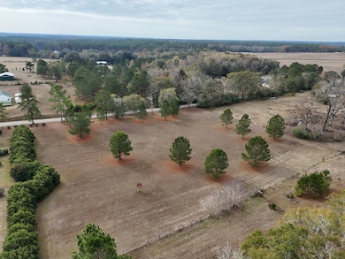 2ACR Lewis Rd, Cairo, GA 39828 - photo 3