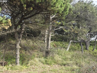 0 Lookout St unit 2, Florence, OR 97439 - photo 4