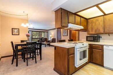 Kitchen / Dining Area
