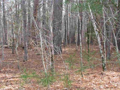 26 Vienna Rd, Gaffney, SC 29340 - photo 4