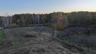 V/L 136th St, Sand Lake, MI 49343 - photo 6