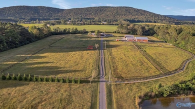 701 Cave Spring Rd, Owens Cross Roads, AL 35763 - photo 2