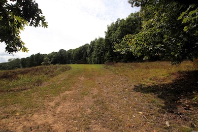 5463 Lo Gap Rd, Clinton, AR 72031 - photo 7