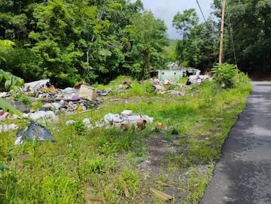 3949 Cold Stream Rd, Capon Bridge, WV 26711 - photo 4