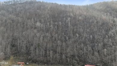 6&7 Lots Waters Edge Rd, Duffield, VA 24244 - photo 6