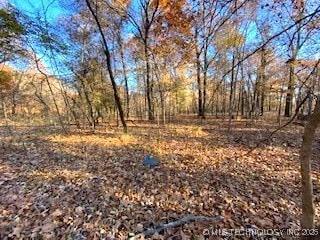 0 Oak Ridge Ln, Spavinaw, OK 74366 - photo 4