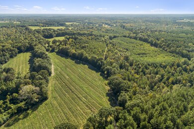 Open Field