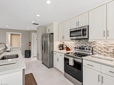 291 W Flamingo Cir, Marco Island, FL 34145 - photo 4