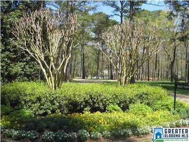 Gorgeous landscaping throughout this neighborhood-