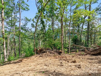 99999 Youngs Gap Rd unit South Lot, Hoopers Creek, NC 28732 - photo 7