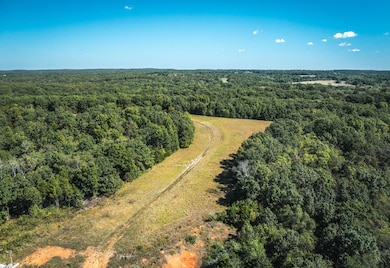 5225 Engledow Rd, de Soto, MO 63020 - photo 5