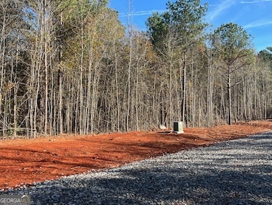 150 Berry Rd, Barnesville, GA 30204 - photo 4