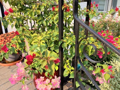 flowers on front porch