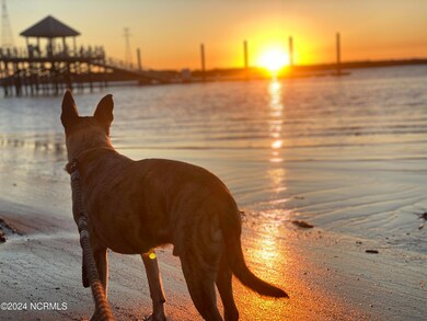 831 Anchors Bend Way, Wilmington, NC 28411 - photo 5