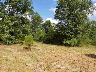 650 Whiddon Lake Rd, Crawfordville, FL 32327 - photo 4