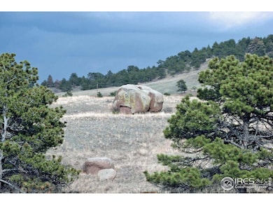 280 Timber Trail, Livermore, CO 80536 - photo 3