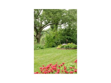 Yard.