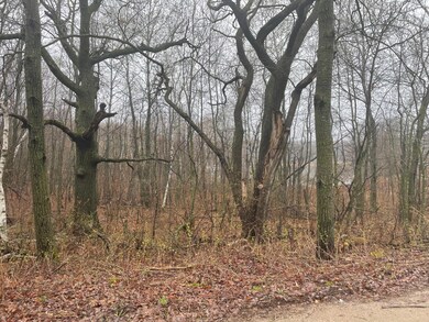 TBD Marble Dr, Cushing, MN 56443 - photo 6