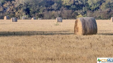333 Lacey Oak Loop, San Marcos, TX 78666 - photo 4