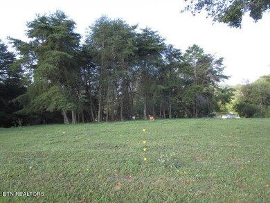 0 Doyle Ogan Ln, Rutledge, TN 37861 - photo 4