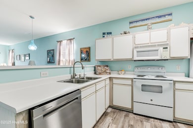 7509 Moorehen-8