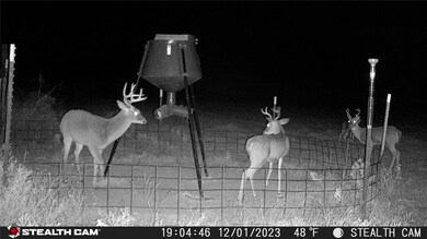 10500 Cr 131, Brownwood, TX 76801 - photo 5