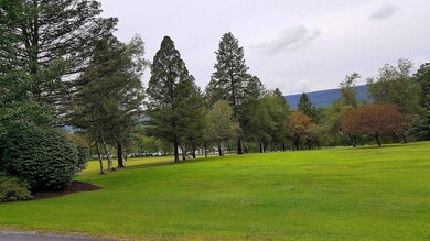 2.07 Acres On Doll Rd, Stroudsburg, PA 18360 - photo 6