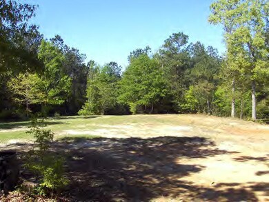 Additional View 2