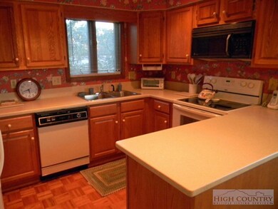 264 Evergreen Dr unit 1, Blowing Rock, NC 28605 - photo 4