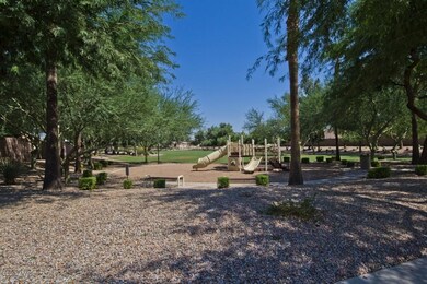 Community Playground
