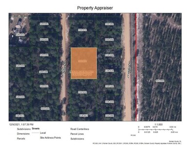 00 Selma Ave Interlachen Lakes, Other City - In the State of Florida, FL 32148 - photo 2