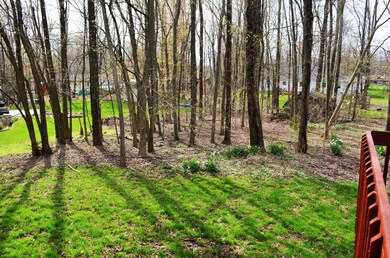 Views/Yard
