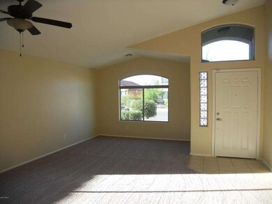 Mesquite Tree 006